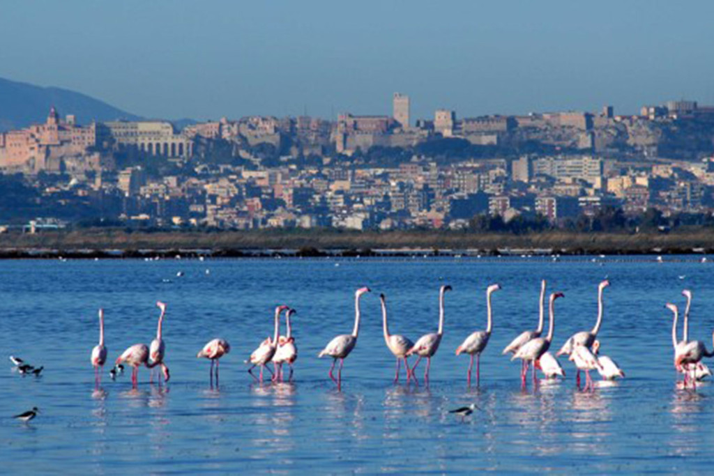 Mare e natura